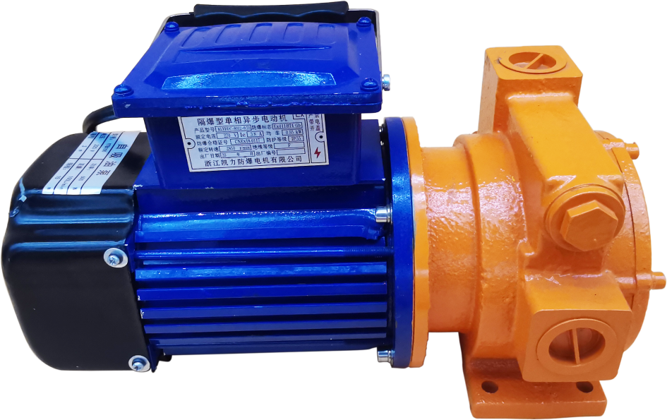 Was ist die Ölfasspumpe?