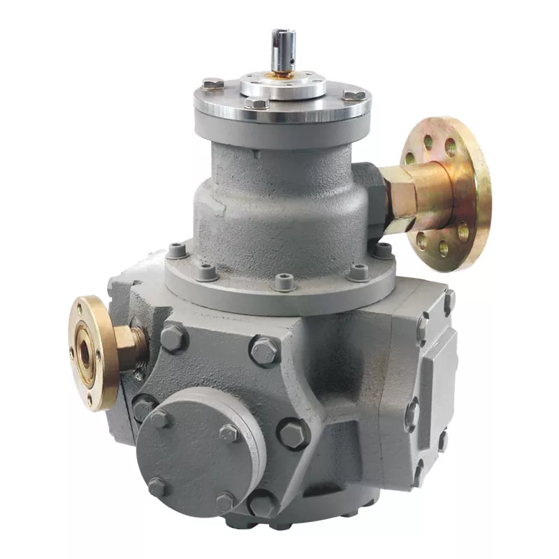 Gusseisen -LPG -Durchflussmeter für LPG -Spender